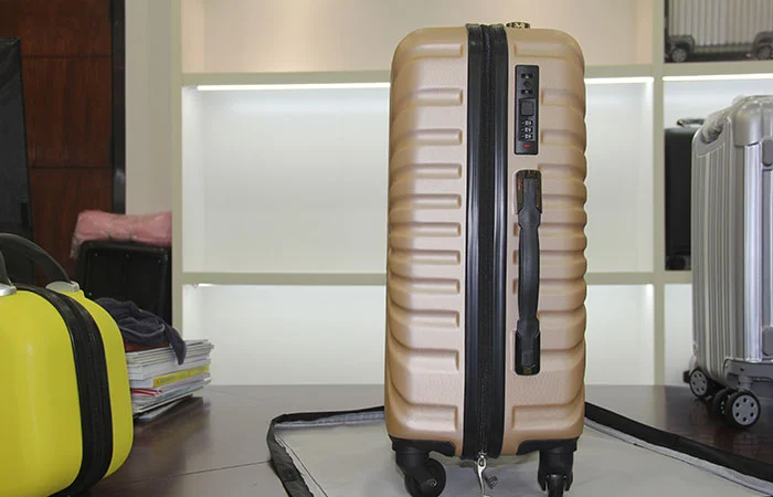 Sunburst Textured Abs Luggage